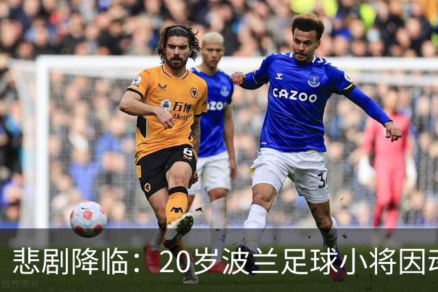 悲剧降临：20岁波兰足球小将因动物意外车祸不幸离世